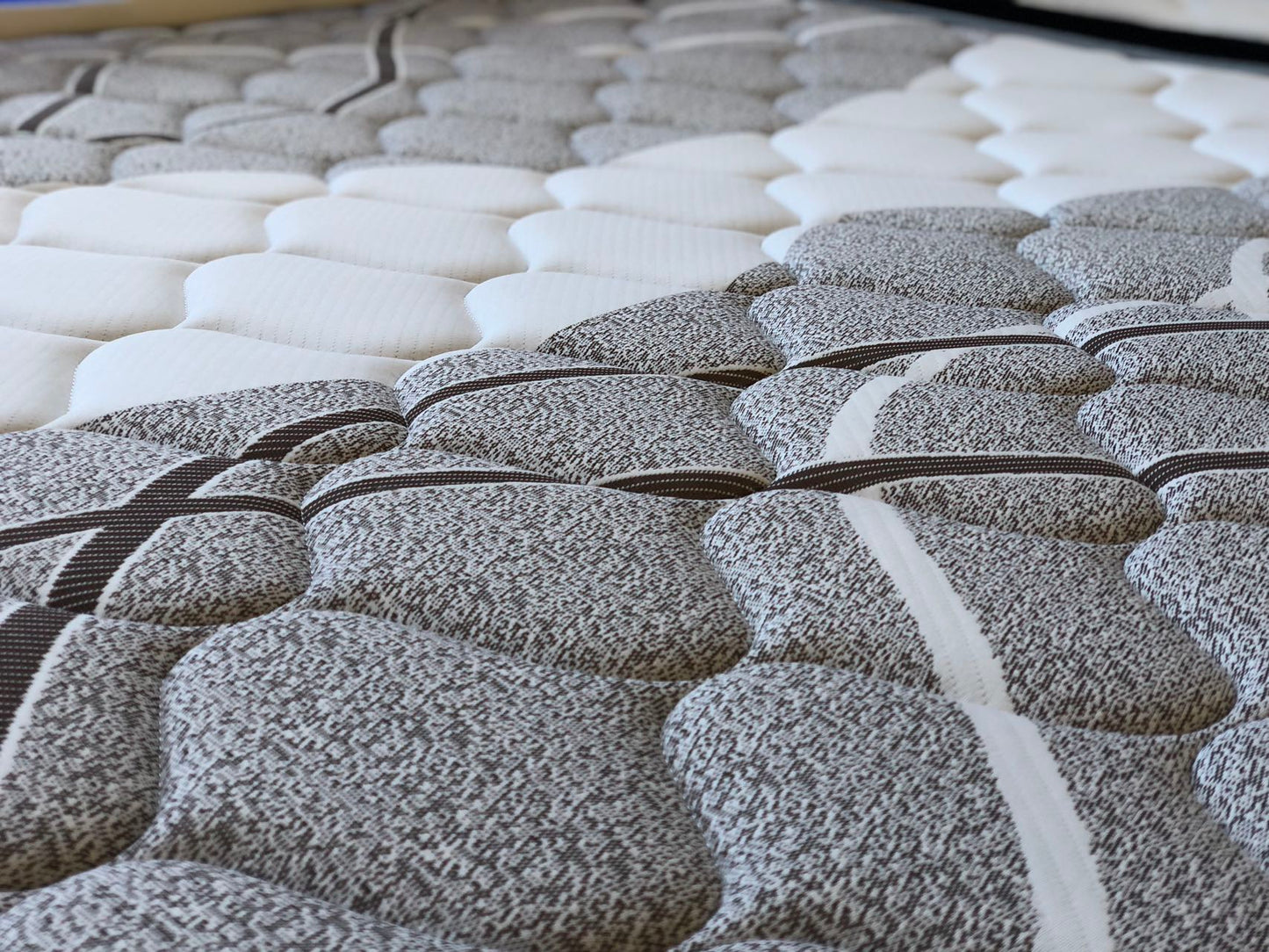 Queen Base With Econ Pocket Spring Mattress