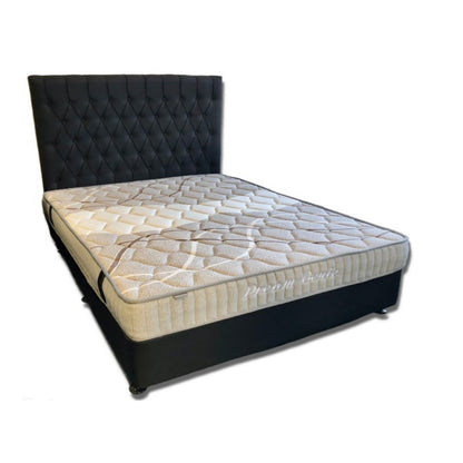 Chicago Dream Genie Econ Queen Bed