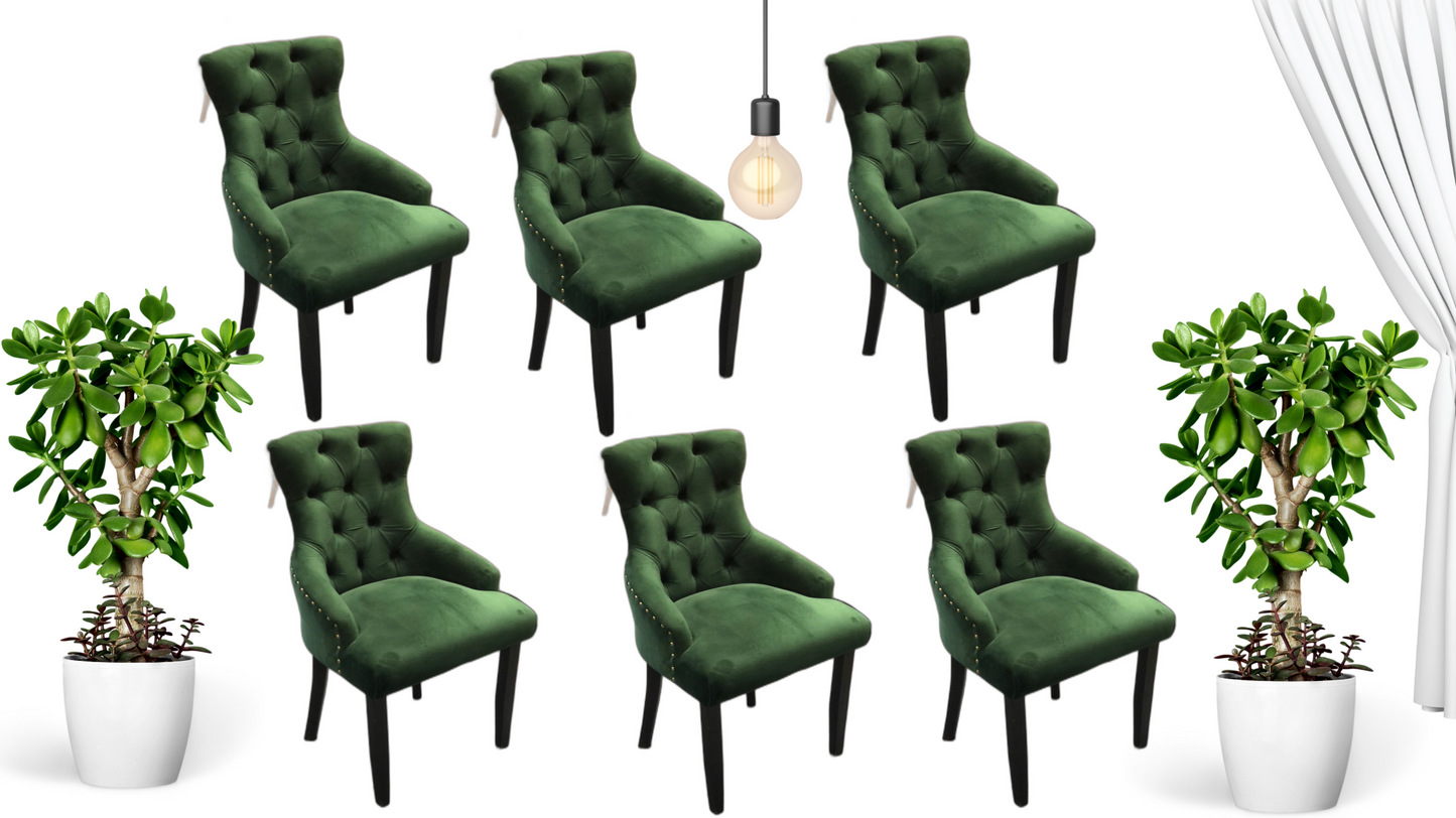Victoria Dining Chairs in Green Velvet